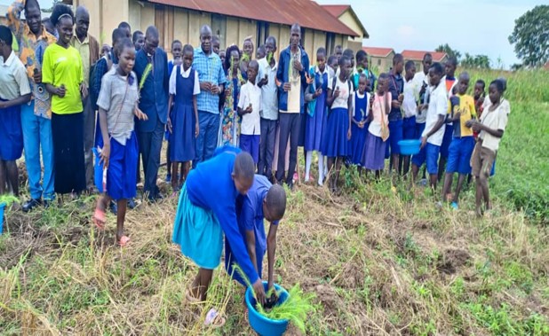Tree Planting in Schools